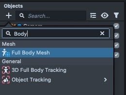 Body Mesh Overview