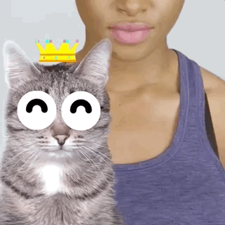 cat  Search Snapchat Creators, Filters and Lenses